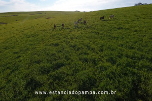 OS ARAGANOS   HERANÇAS 1984.00_02_36_18.Quadro015_59481637d73c8bf476e403c99626987dc243cff8.jpg